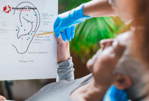 Auriculoterapia Acupuntura.Sampa.br