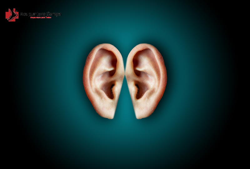 Como é o dia a dia após aplicar as sementes auriculares?