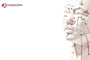 Auriculoterapia Acupuntura.Sampa.br